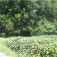 0 Lee St, Town Creek, AL 35672 ID:7871600