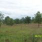 8138 Hwy 265, Mount Croghan, SC 29727 ID:229617