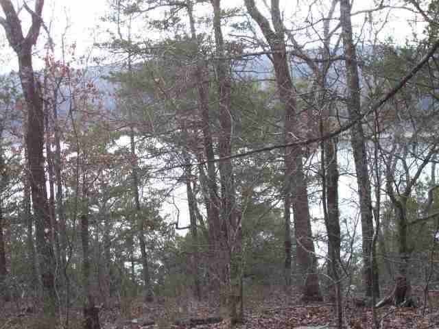 00 Horseshoe Bend Road, Lead Hill, AR 72644