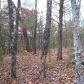 00 Horseshoe Bend Road, Lead Hill, AR 72644 ID:1163847