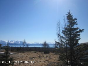 L4 B1 Triple Crown Road, Homer, AK 99603