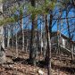 95 Starcross Lane, Jasper, GA 30143 ID:3000376