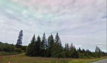 67175 W Thomas Road Homer, AK 99603