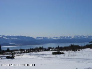 52398 Moonbeam Lane, Homer, AK 99603