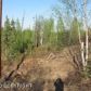 577 S Ashley Road, Big Lake, AK 99652 ID:6341336