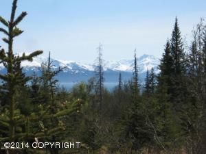 L1-4 Carefree Circle, Homer, AK 99603