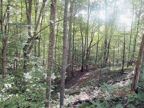 0 Panther Creek Road, Sneedville, TN 37869