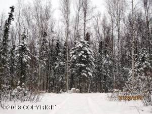 4753 S Phalarope Circle, Wasilla, AK 99654