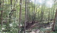 0 Panther Creek Road Sneedville, TN 37869