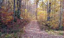 0 Snake Hollow Road Sneedville, TN 37869