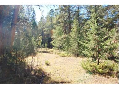 4 Pine Valley Road, Pine, CO 80470