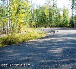 14955 W Wild Rose Circle, Big Lake, AK 99652