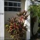 7057 WOODMONT WAY # 7057, Fort Lauderdale, FL 33321 ID:6981167