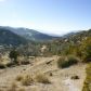 11493 Weller Rd, Caliente, CA 93518 ID:1096193