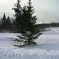 67175 W Thomas Road, Homer, AK 99603 ID:6968901