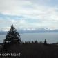 310 FIREWEED Avenue, Homer, AK 99603 ID:7883803