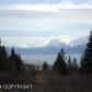 310 FIREWEED Avenue, Homer, AK 99603 ID:7883804