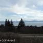 310 FIREWEED Avenue, Homer, AK 99603 ID:7883805