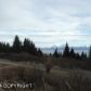 310 FIREWEED Avenue, Homer, AK 99603 ID:7883806