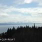 310 FIREWEED Avenue, Homer, AK 99603 ID:7883809