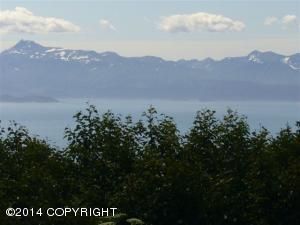 215 Tulin Terrace Boulevard, Homer, AK 99603