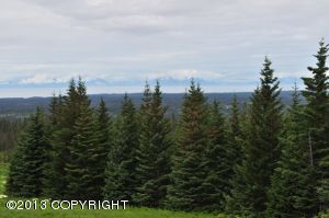 L1 Misty Ridge Road, Homer, AK 99603