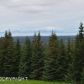 L1 Misty Ridge Road, Homer, AK 99603 ID:6887950