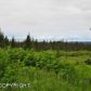 L1 Misty Ridge Road, Homer, AK 99603 ID:6887951