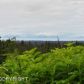 L1 Misty Ridge Road, Homer, AK 99603 ID:6887952