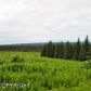 L1 Misty Ridge Road, Homer, AK 99603 ID:6887955