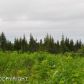 L1 Misty Ridge Road, Homer, AK 99603 ID:6887958