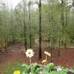 1004 Pebble Stone Court, Loganville, GA 30052 ID:7906481