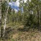 0 Virginia Canyon Road, Central City, CO 80427 ID:4228974