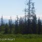 52591 Apricity Avenue, Homer, AK 99603 ID:6887440