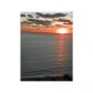 3000 OCEAN DR # 1118, Hollywood, FL 33019 ID:994662