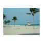 2401 OCEAN DR # 2402, Hollywood, FL 33019 ID:1117903