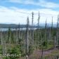 L3 Mel Drive, Homer, AK 99603 ID:6968891