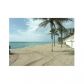 2501 OCEAN DR # 1233, Hollywood, FL 33019 ID:893367