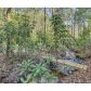 434 Hiawatha Trail, Blue Ridge, GA 30513 ID:7942253