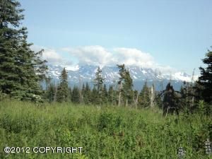 L3 Morrison Drive, Homer, AK 99603