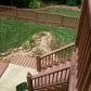 302 Hampton Forest Trail, Dahlonega, GA 30533 ID:7837717