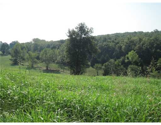 Lot 10, Chay Circle, Cedarville, AR 72932