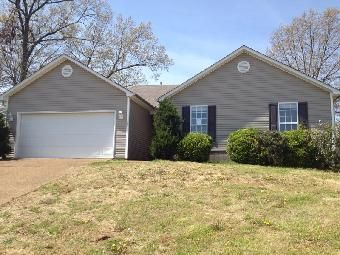 19 Wildberry Cv, Jackson, TN 38305