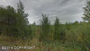 3978 S Pond Lily Lane, Wasilla, AK 99654