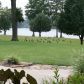 11026 Plantation Lake Rd, Scott, AR 72142 ID:3111014