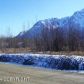 4500 S Trellis Avenue, Palmer, AK 99645 ID:7279570