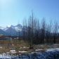 4500 S Trellis Avenue, Palmer, AK 99645 ID:7279574