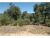 000 Lakedale Rd 13 Santa Ysabel, CA 92070