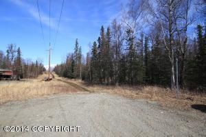 A006 Tazlina Drive, Palmer, AK 99645