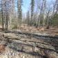 A006 Tazlina Drive, Palmer, AK 99645 ID:7898149